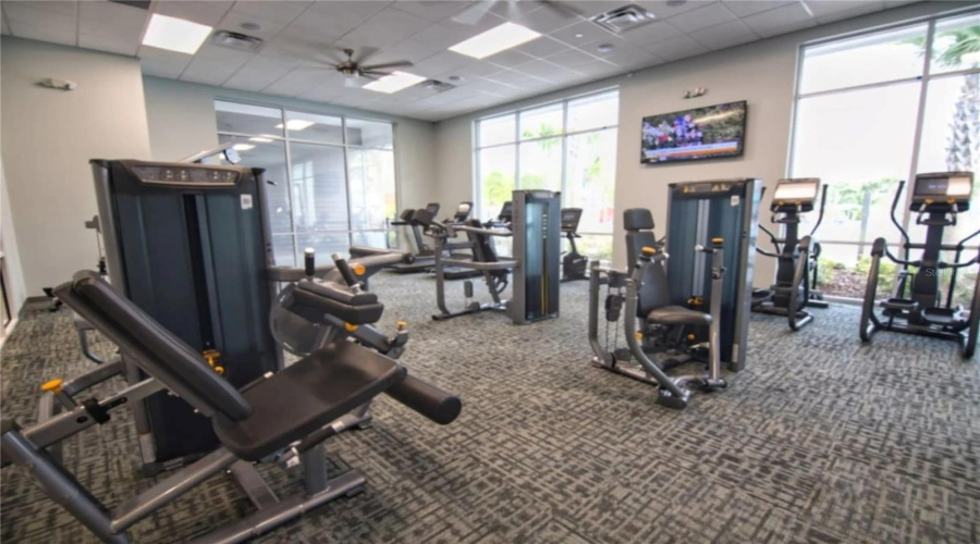 DAVENPORT, Florida 33897, 10 Bedrooms Bedrooms, ,8 BathroomsBathrooms,Residential,For Sale,LELANI,0,MFRS5133402