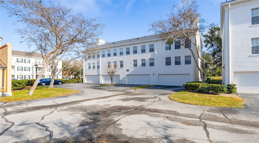 Exterior View (Rear)