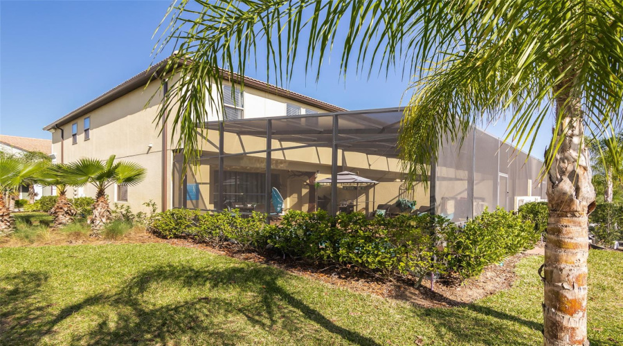 Screened lanai and pool