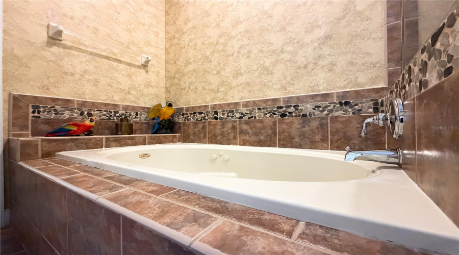 REUNION, Florida 34747, 5 Bedrooms Bedrooms, ,4 BathroomsBathrooms,Residential,For Sale,TITIAN,0,MFRS5144039