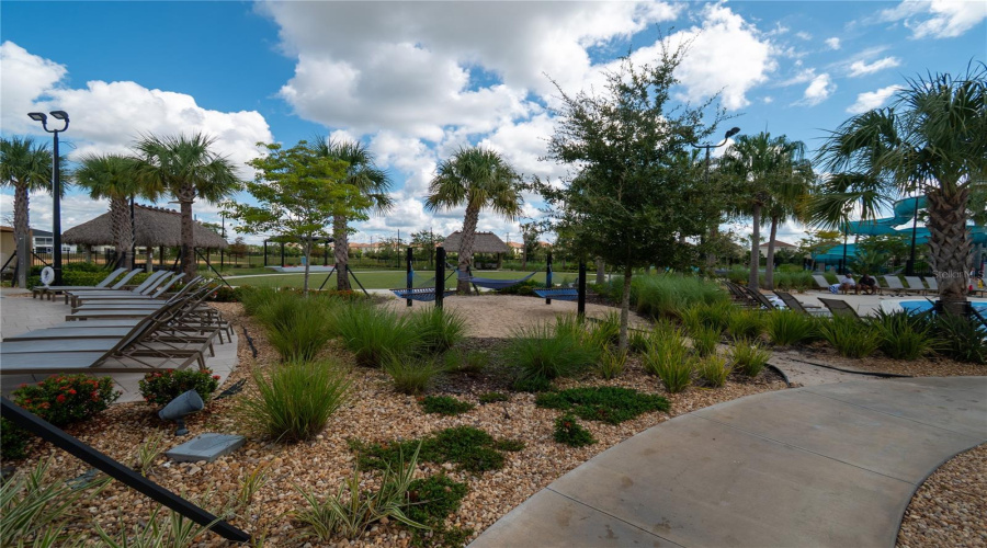 The Island loungers and hammocks