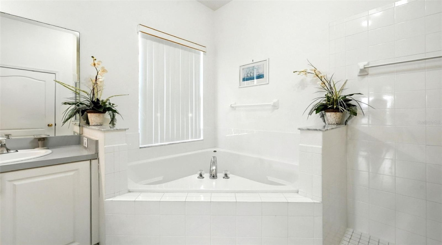 DAVENPORT, Florida 33897, 5 Bedrooms Bedrooms, ,4 BathroomsBathrooms,Residential,For Sale,TUSCAN HILLS,0,MFRS5134240