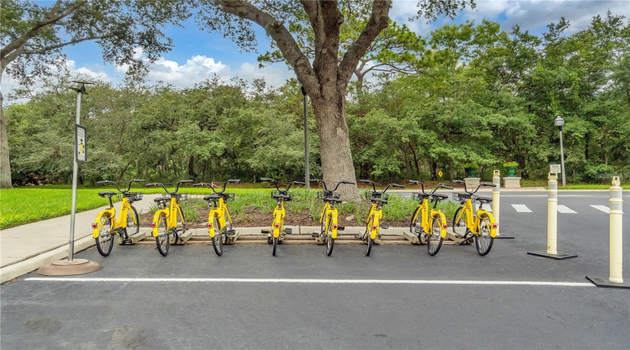 KISSIMMEE, Florida 34747, 3 Bedrooms Bedrooms, ,2 BathroomsBathrooms,Residential,For Sale,CRYSTAL COVE,0,MFRS5144464