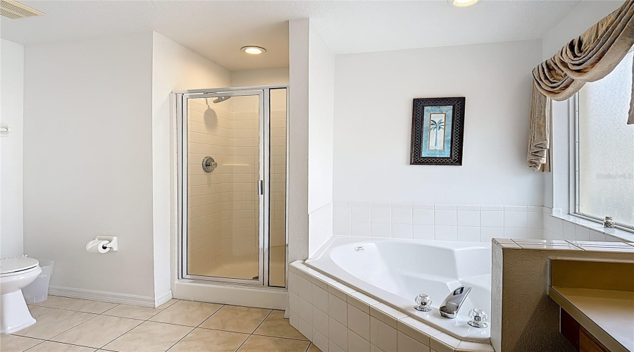 Primary Bathroom - tub with separate shower