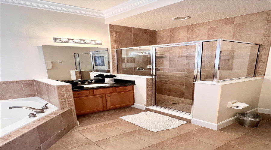 REUNION, Florida 34747, 4 Bedrooms Bedrooms, ,3 BathroomsBathrooms,Residential,For Sale,REUNION,0,MFRO6386573