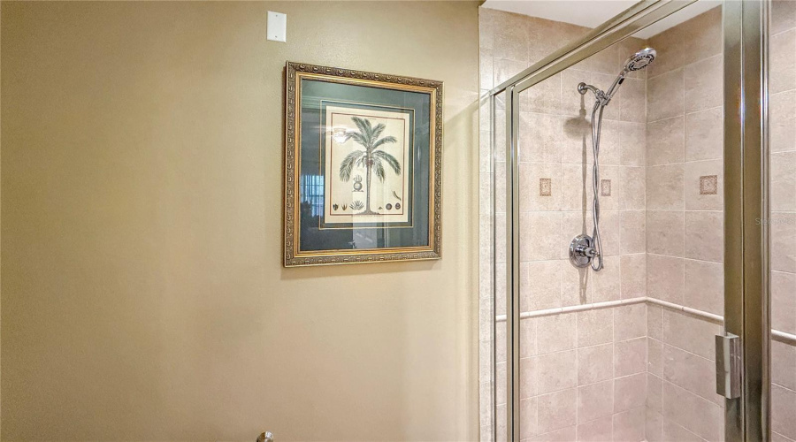 REUNION, Florida 34747, 3 Bedrooms Bedrooms, ,3 BathroomsBathrooms,Residential,For Sale,CENTRE COURT RIDGE,0,MFRS5137427