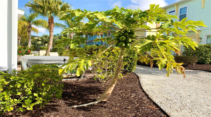 KISSIMMEE, Florida 34747, 3 Bedrooms Bedrooms, ,3 BathroomsBathrooms,Residential,For Sale,SEA PLANE,0,MFRO6386265