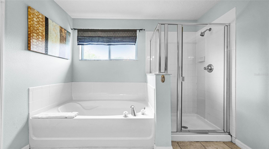 DAVENPORT, Florida 33896, 7 Bedrooms Bedrooms, ,4 BathroomsBathrooms,Residential,For Sale,WILLOW VIEW,0,MFRS5123398