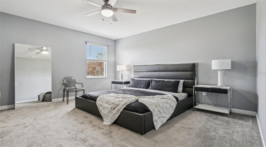 In Law suite Bedroom