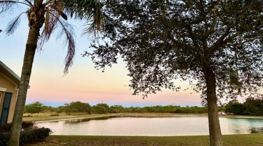 DAVENPORT, Florida 33896, 5 Bedrooms Bedrooms, ,3 BathroomsBathrooms,Residential,For Sale,ROYAL RIDGE,0,MFRS5141777