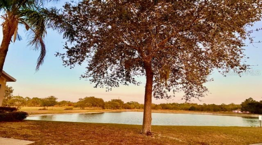 DAVENPORT, Florida 33896, 5 Bedrooms Bedrooms, ,3 BathroomsBathrooms,Residential,For Sale,ROYAL RIDGE,0,MFRS5141777