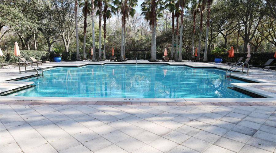 KISSIMMEE, Florida 34747, 3 Bedrooms Bedrooms, ,2 BathroomsBathrooms,Residential,For Sale,SIENA PALM,0,MFRO6387666