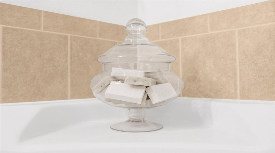 DAVENPORT, Florida 33837, 5 Bedrooms Bedrooms, ,4 BathroomsBathrooms,Residential,For Sale,YELLOW SNAPDRAGON,0,MFRS5145326