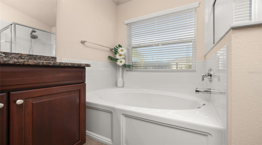 DAVENPORT, Florida 33837, 4 Bedrooms Bedrooms, ,2 BathroomsBathrooms,Residential,For Sale,CORTLAND,0,MFRS5143107