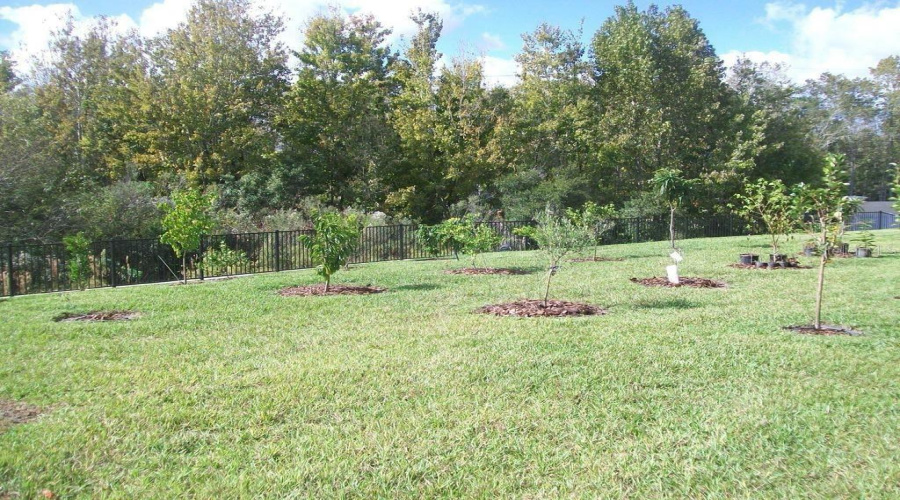 KISSIMMEE, Florida 34746, 3 Bedrooms Bedrooms, ,2 BathroomsBathrooms,Residential,For Sale,BLUE DIAMOND,0,MFRO6387480