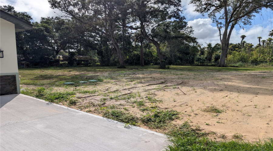 REAR YARD OFF DRIVEWAY