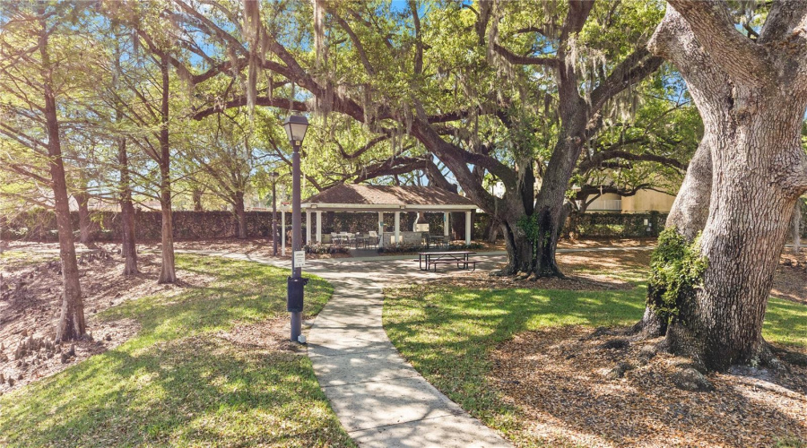 KISSIMMEE, Florida 34746, 4 Bedrooms Bedrooms, ,3 BathroomsBathrooms,Residential,For Sale,DIPLOMAT,0,MFRO6390188