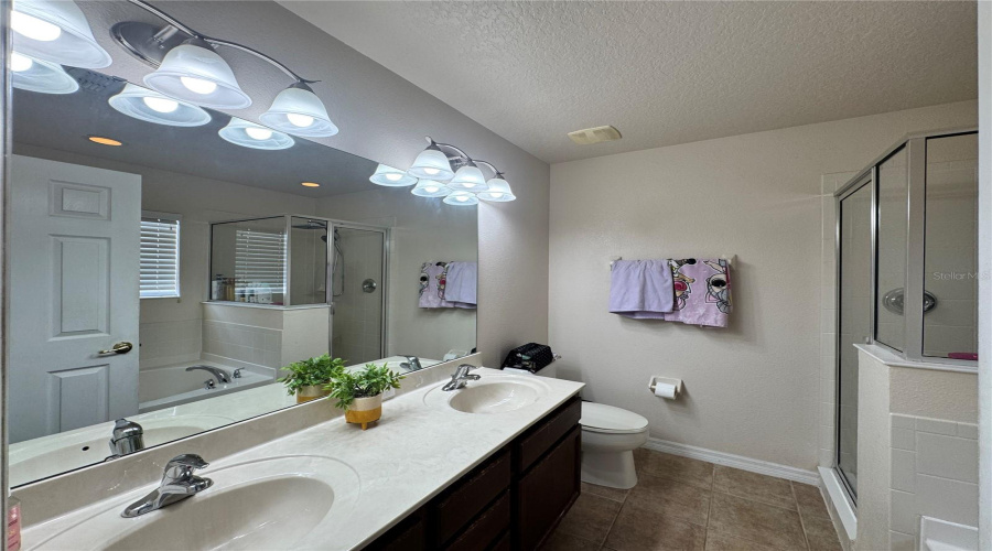 ORLANDO, Florida 32836, 4 Bedrooms Bedrooms, ,3 BathroomsBathrooms,Residential,For Sale,LEELAND ARCHER,0,MFRO6390960