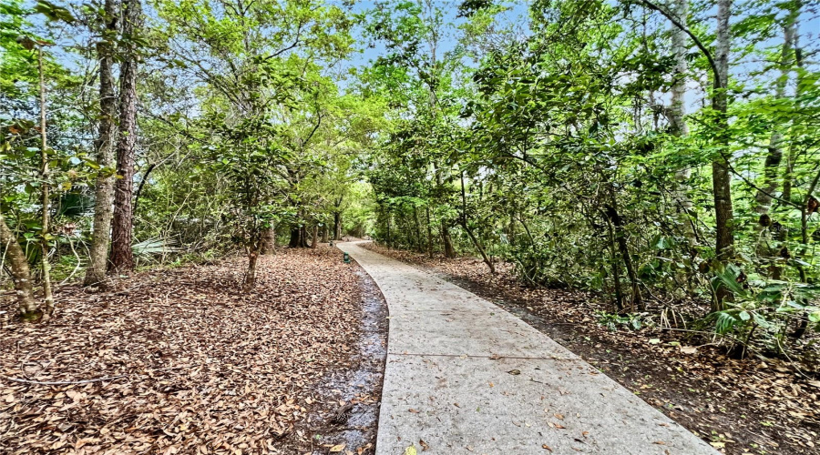 CELEBRATION, Florida 34747, 4 Bedrooms Bedrooms, ,2 BathroomsBathrooms,Residential,For Sale,CENTERVALE,0,MFRO6390967