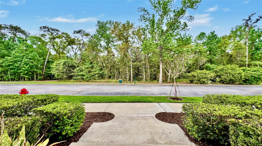 CELEBRATION, Florida 34747, 4 Bedrooms Bedrooms, ,2 BathroomsBathrooms,Residential,For Sale,CENTERVALE,0,MFRO6390967