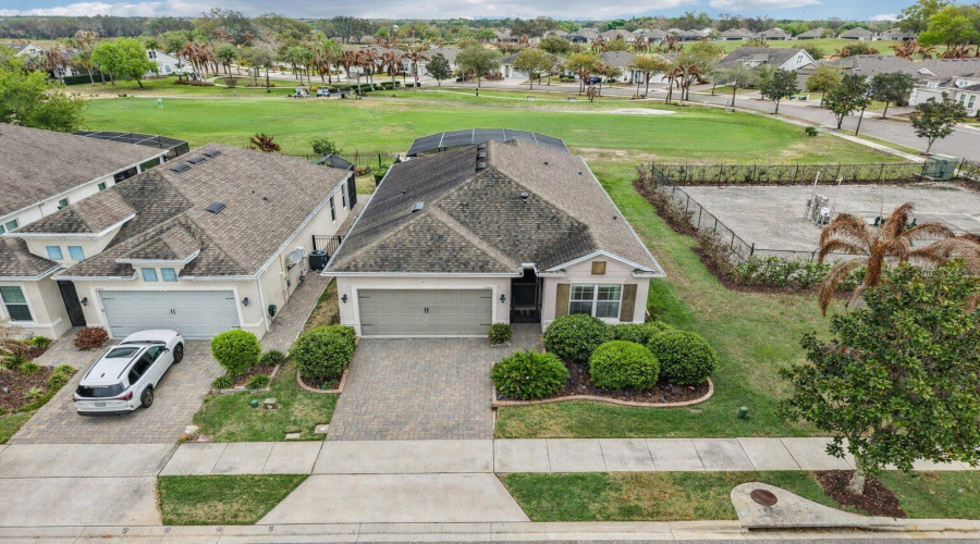 Aireal View! Foliage Virtually enchanced