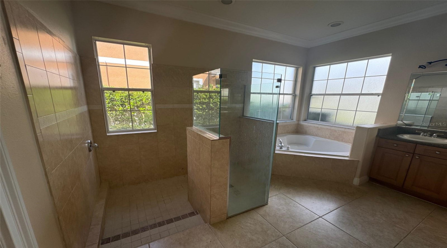 REUNION, Florida 34747, 4 Bedrooms Bedrooms, ,4 BathroomsBathrooms,Residential,For Sale,EXCITEMENT,0,MFRO6391270