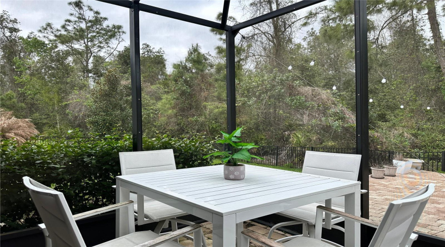 DAVENPORT, Florida 33837, 4 Bedrooms Bedrooms, ,3 BathroomsBathrooms,Residential,For Sale,BRUNSWICK,0,MFRO6391151