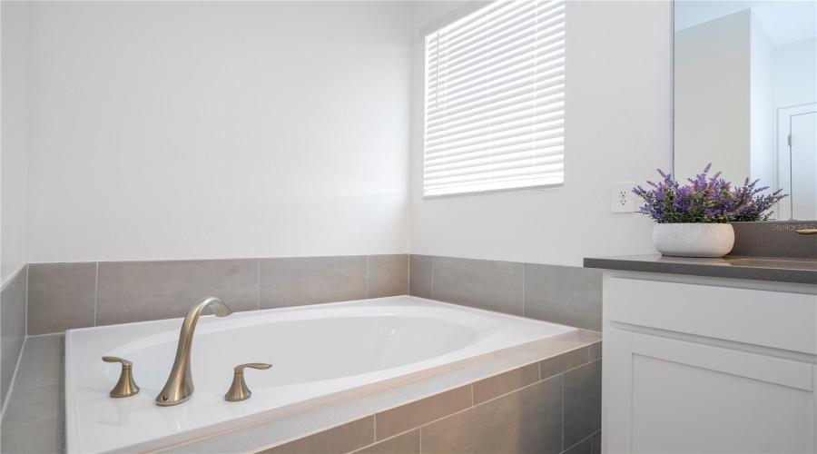 DAVENPORT, Florida 33896, 6 Bedrooms Bedrooms, ,5 BathroomsBathrooms,Residential,For Sale,TAKEAWAY,0,MFRS5145952