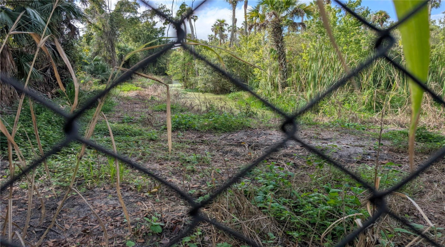CHAIN LINK AROUND BACK YARD & SIDES