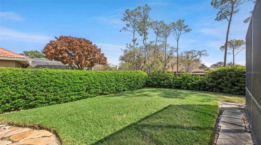 ORLANDO, Florida 32836, 4 Bedrooms Bedrooms, ,3 BathroomsBathrooms,Residential,For Sale,PHILLIPS GROVE,0,MFRO6390588