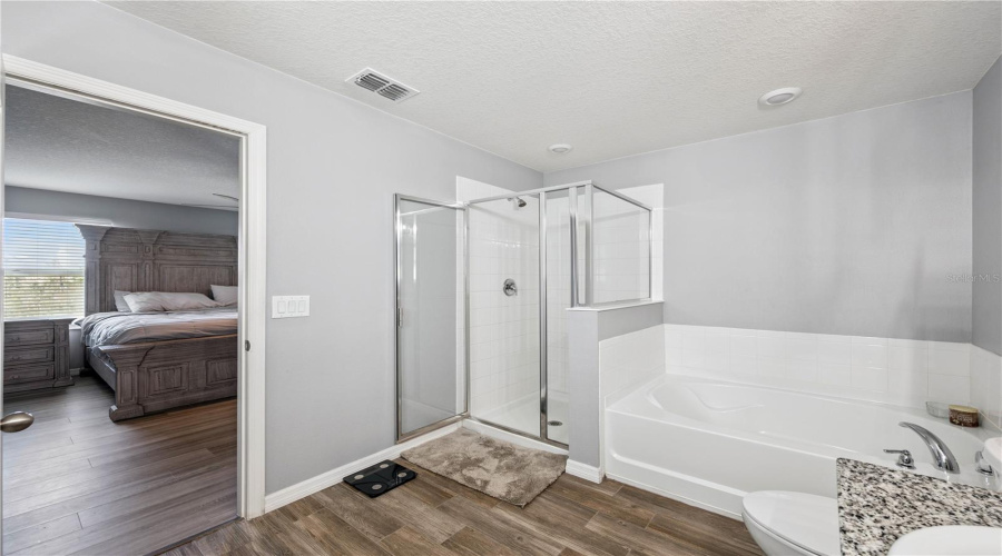 Primary Bathroom ~ walk in shower & jacuzzi style tub