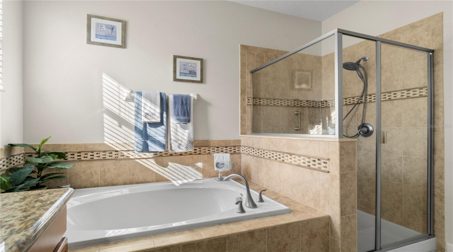 CHAMPIONS GATE, Florida 33896, 4 Bedrooms Bedrooms, ,3 BathroomsBathrooms,Residential,For Sale,DOLPHIN HEAD,0,MFRO6388968