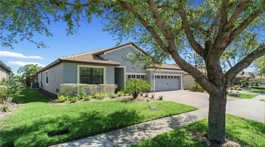 CHAMPIONS GATE, Florida 33896, 4 Bedrooms Bedrooms, ,3 BathroomsBathrooms,Residential,For Sale,DOLPHIN HEAD,0,MFRO6388968