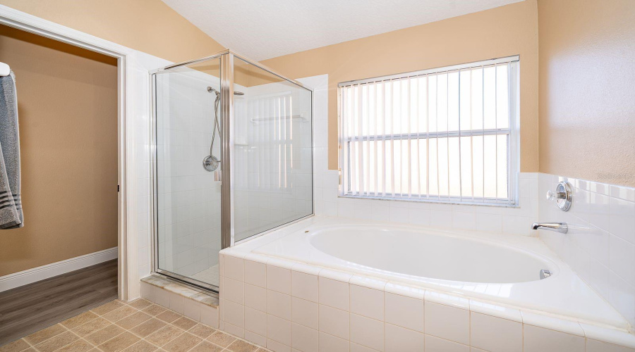 Owner's bathroom view#2