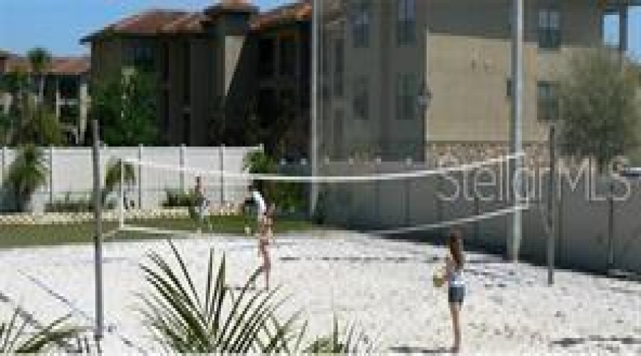 Sand volleyball!