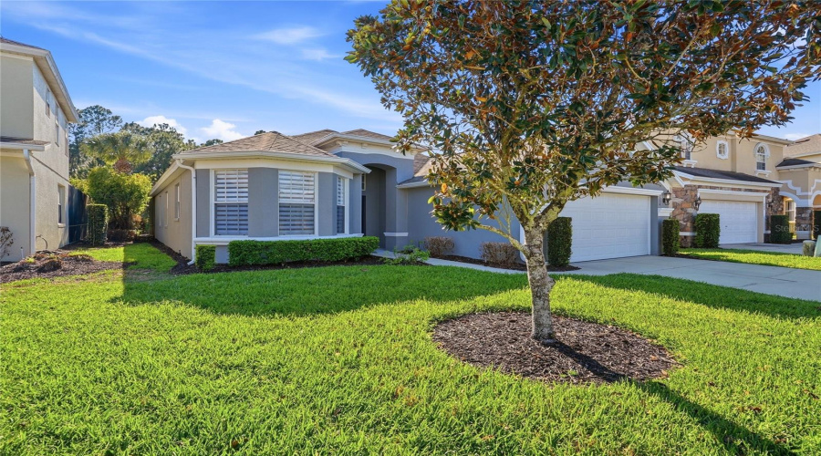 DAVENPORT, Florida 33897, 4 Bedrooms Bedrooms, ,3 BathroomsBathrooms,Residential,For Sale,TUPELO,0,MFRP4938218