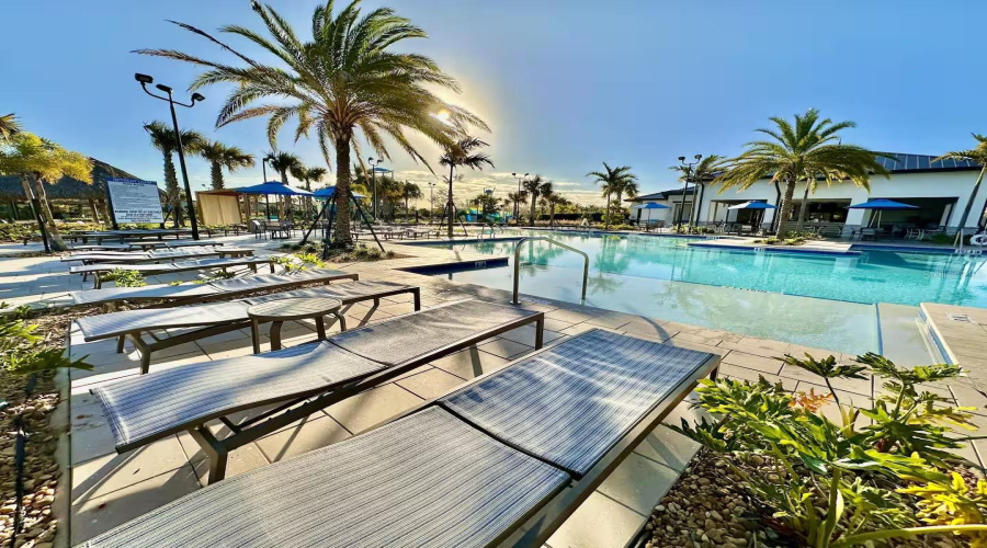 Resort - Lounge Chairs around Pool Area