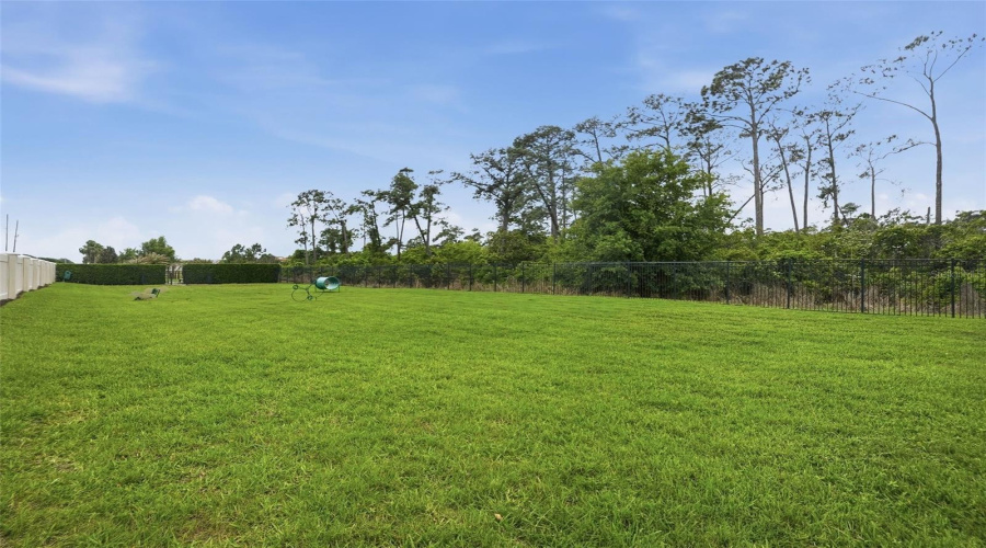 ORLANDO, Florida 32836, 5 Bedrooms Bedrooms, ,4 BathroomsBathrooms,Residential,For Sale,ROYAL CYPRESS,0,MFRO6393856