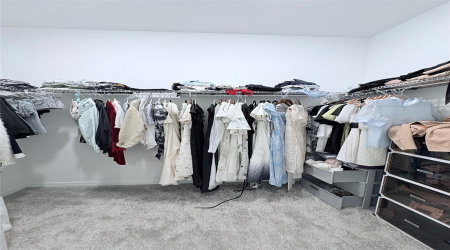 Master Room Closet 2