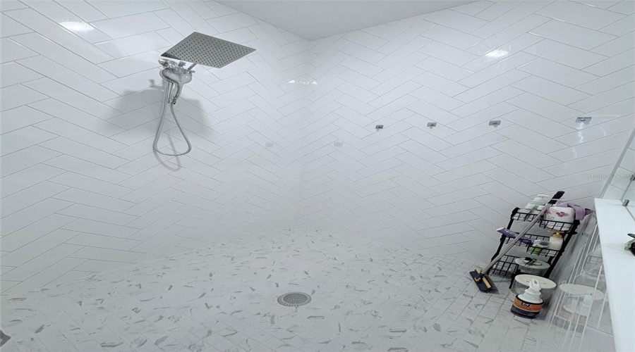 Master Bathroom Shower