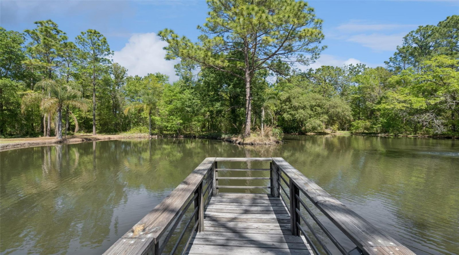 KISSIMMEE, Florida 34747, 4 Bedrooms Bedrooms, ,3 BathroomsBathrooms,Residential,For Sale,NATURES HAMMOCK,0,MFRS5145910