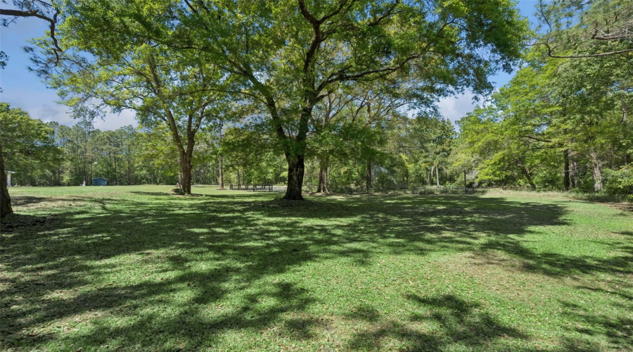 KISSIMMEE, Florida 34747, 4 Bedrooms Bedrooms, ,3 BathroomsBathrooms,Residential,For Sale,NATURES HAMMOCK,0,MFRS5145910