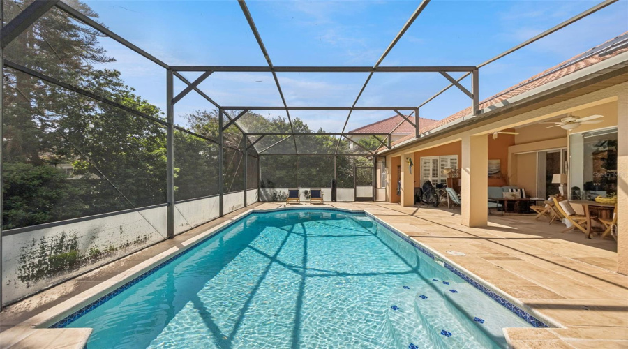 ORLANDO, Florida 32836, 4 Bedrooms Bedrooms, ,3 BathroomsBathrooms,Residential,For Sale,PHILLIPS GROVE,0,MFRO6390588