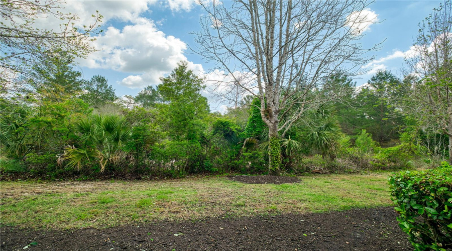 REUNION, Florida 34747, 3 Bedrooms Bedrooms, ,2 BathroomsBathrooms,Residential,For Sale,ASSEMBLY,0,MFRO6394463