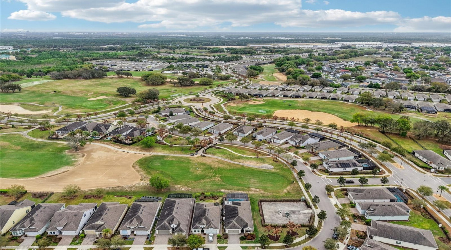 Beautiful Neighborhood