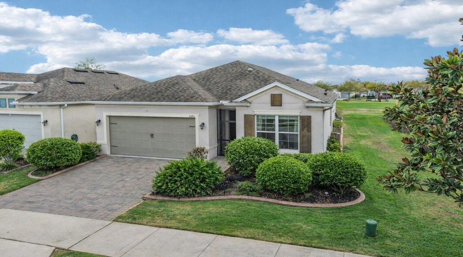 Welcome Home!Foliage Virtually enchanced