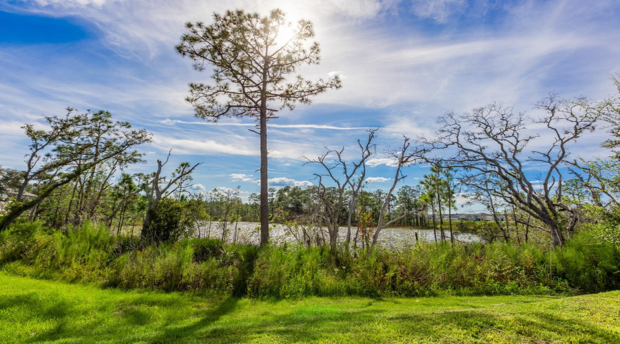 DAVENPORT, Florida 33896, 3 Bedrooms Bedrooms, ,2 BathroomsBathrooms,Residential,For Sale,PLANTATION,0,MFRO6326280