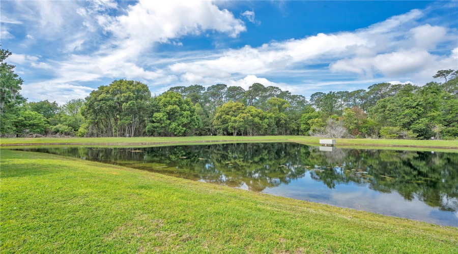 ORLANDO, Florida 32836, 4 Bedrooms Bedrooms, ,2 BathroomsBathrooms,Residential,For Sale,PECKY CYPRESS,0,MFRO6395772