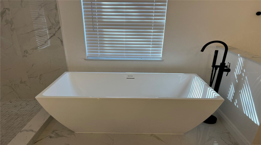 Master Bath Tub