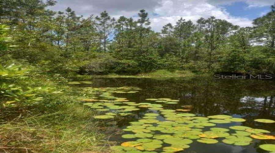 Stocked lake on property